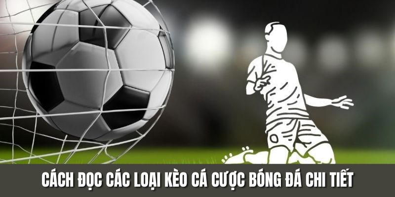 Cách đọc các loại kèo cá cược bóng đá chi tiết